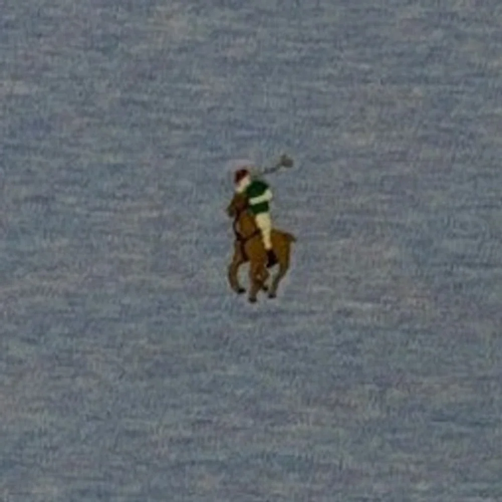 Polo Ralph Lauren please note